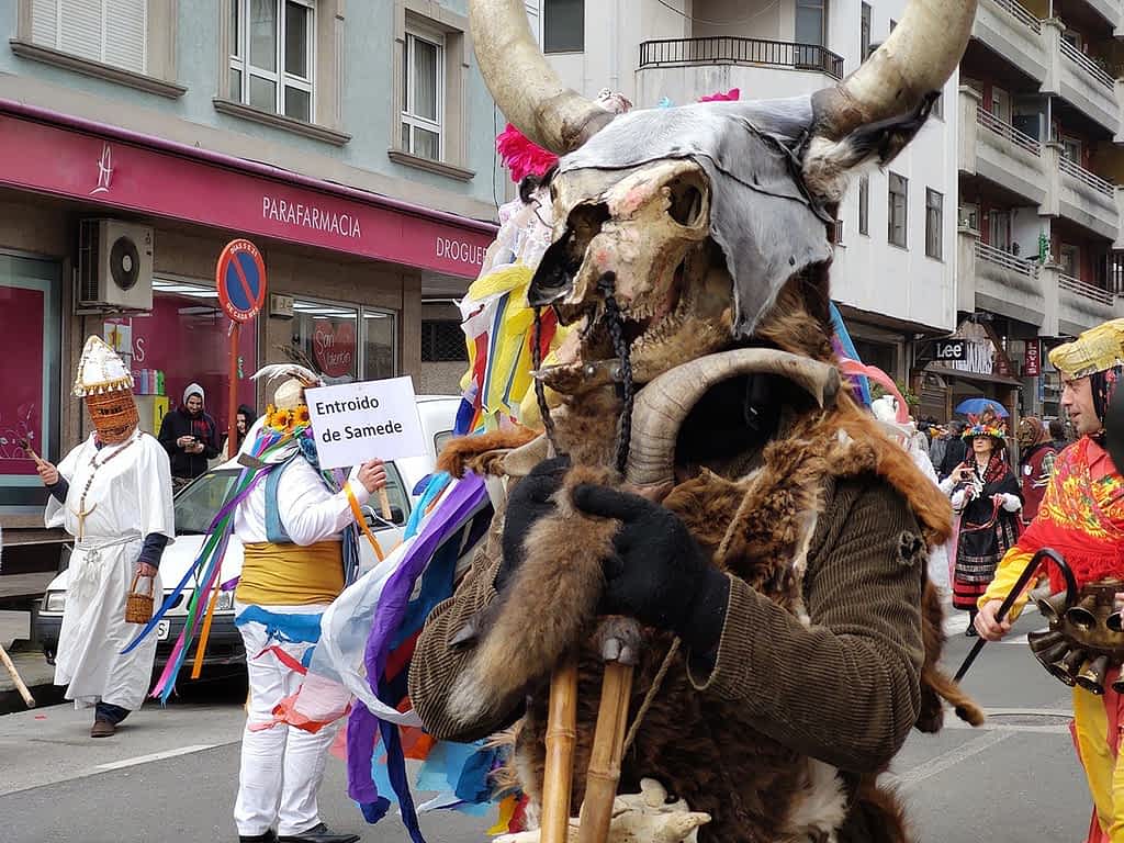 Entroido Ribeirao Chantada, Fiestas de Galicia