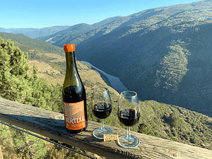 Bodega Sernade en la Ribeira Sacra
