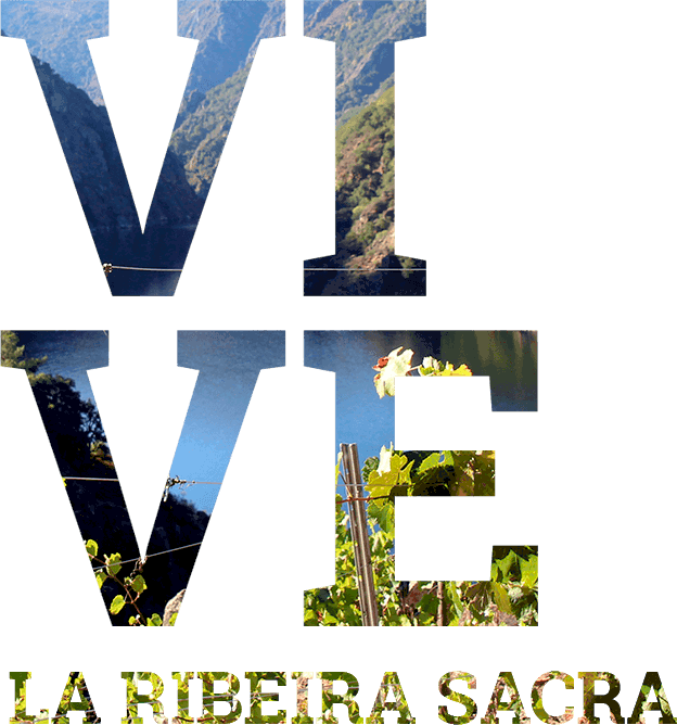 Excursiones Ribeira Sacra - Galicia